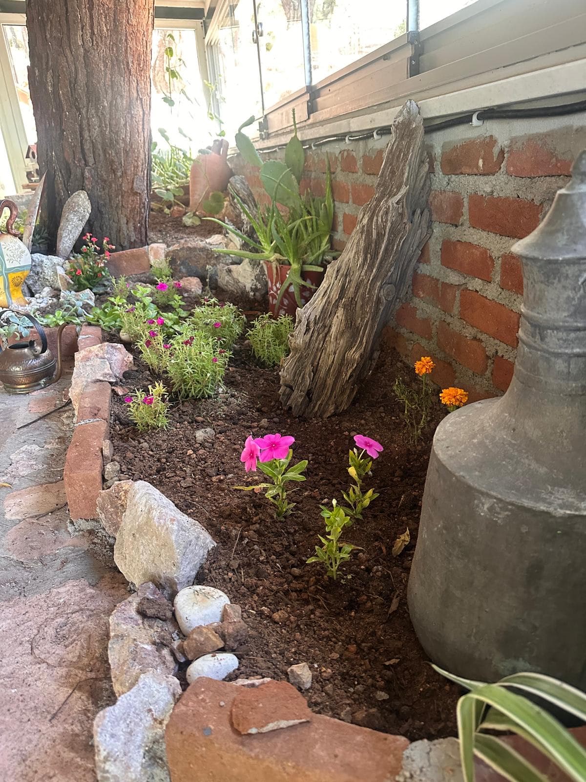 Blumenbeet mit Ziegeleinfassung, Pinienstamm und alter Kupferkanne im Lotus-Garten
