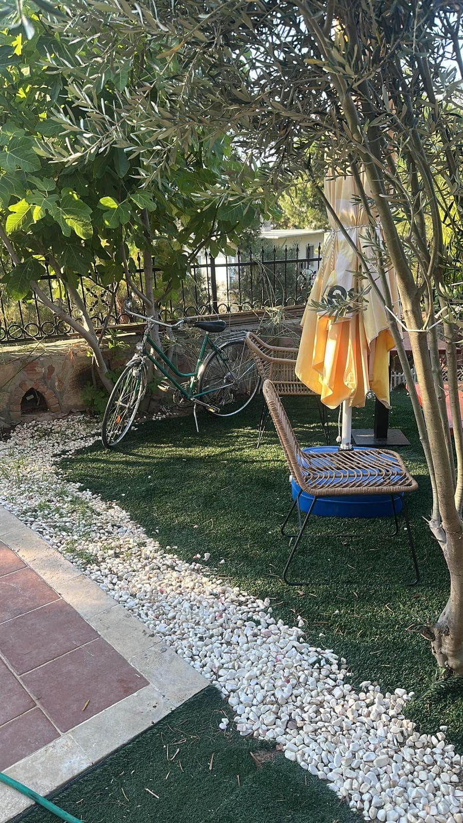 Zeytin ağaçları, çakıl yol ve hasır oturma grubuyla Lotus bahçesi